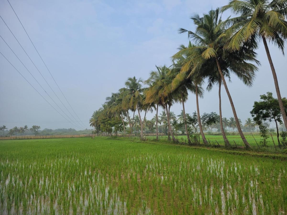 Tanjore Home Stay Thanjavur Exteriér fotografie