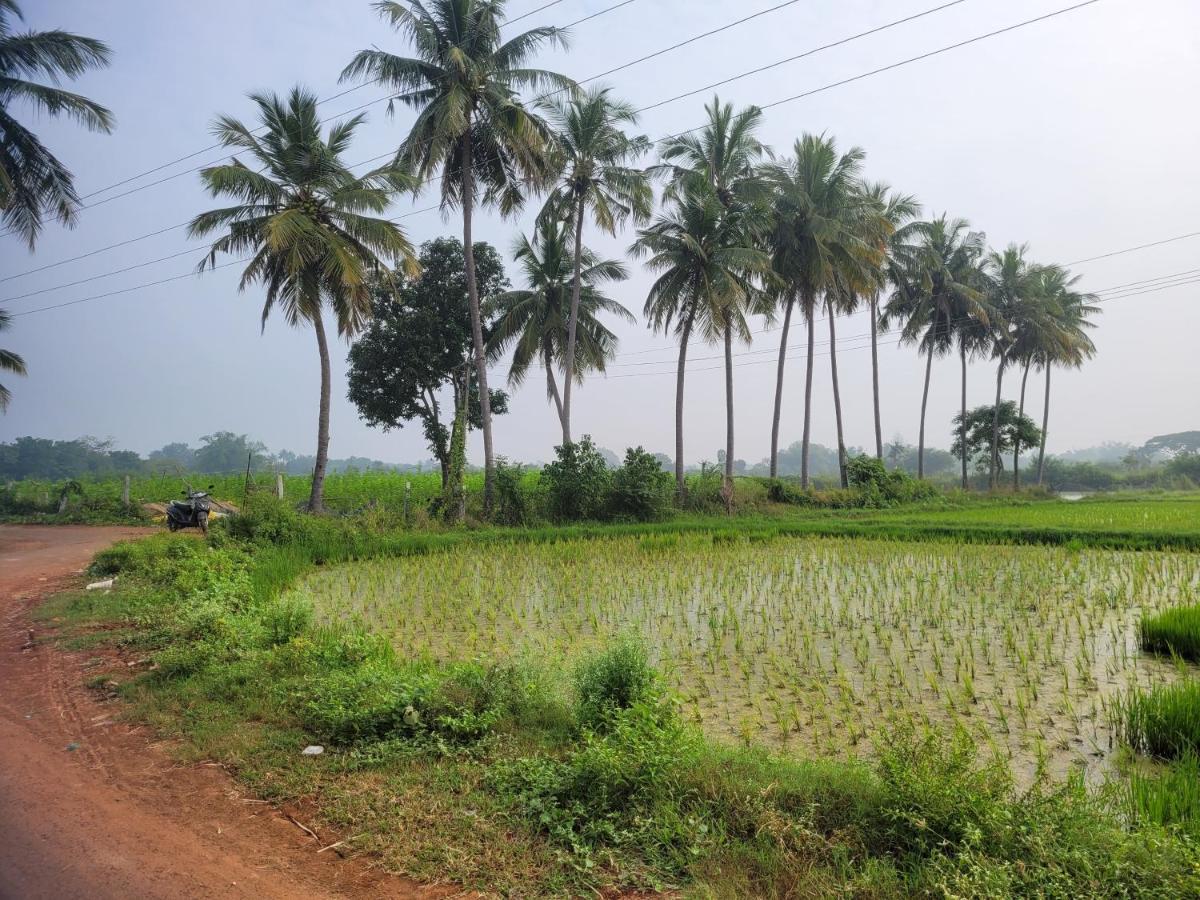 Tanjore Home Stay Thanjavur Exteriér fotografie