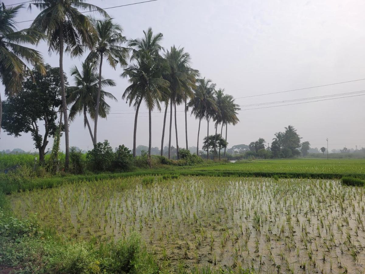 Tanjore Home Stay Thanjavur Exteriér fotografie