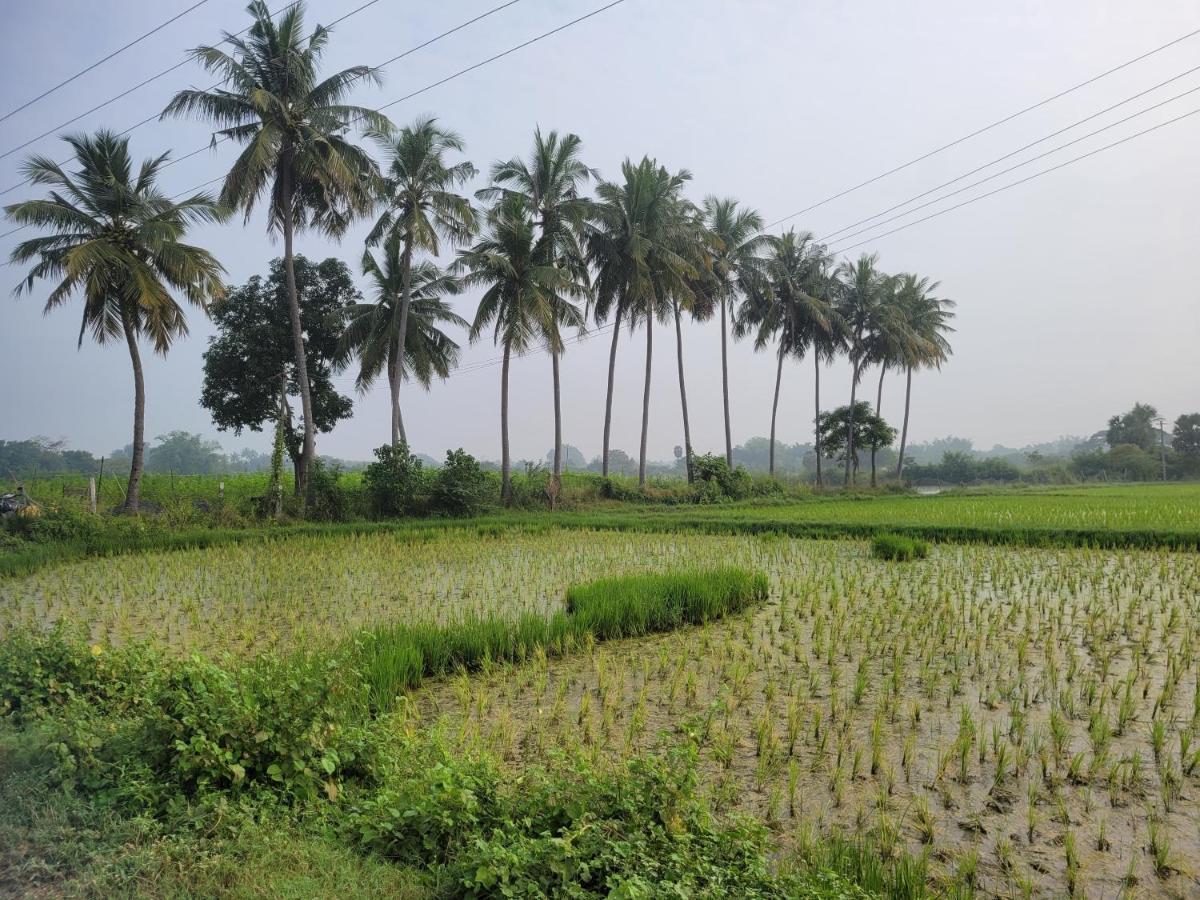 Tanjore Home Stay Thanjavur Exteriér fotografie