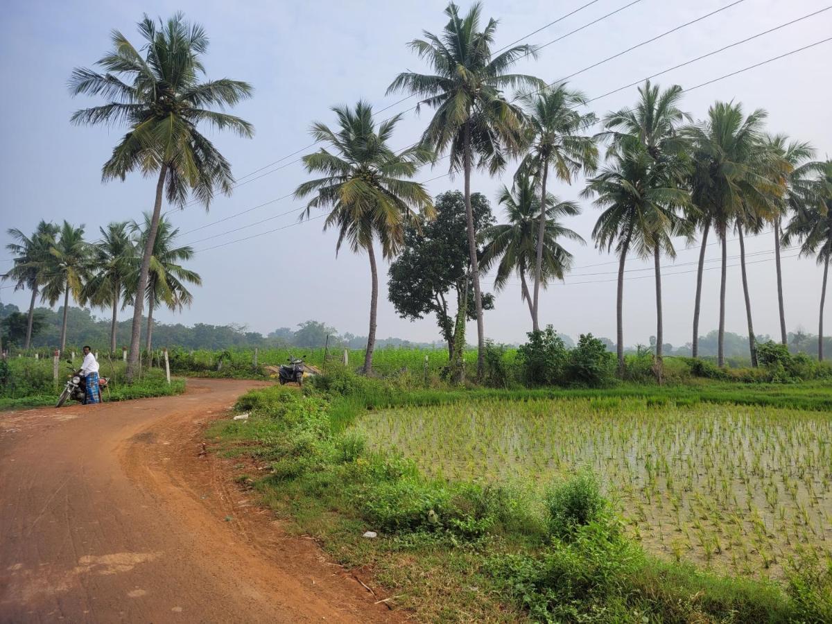 Tanjore Home Stay Thanjavur Exteriér fotografie